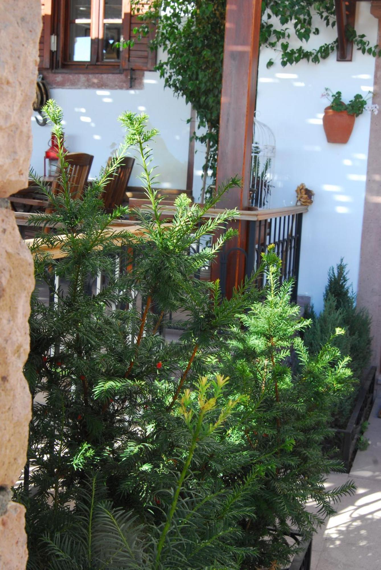 Aliye Hanim Hotel Айвалык Экстерьер фото